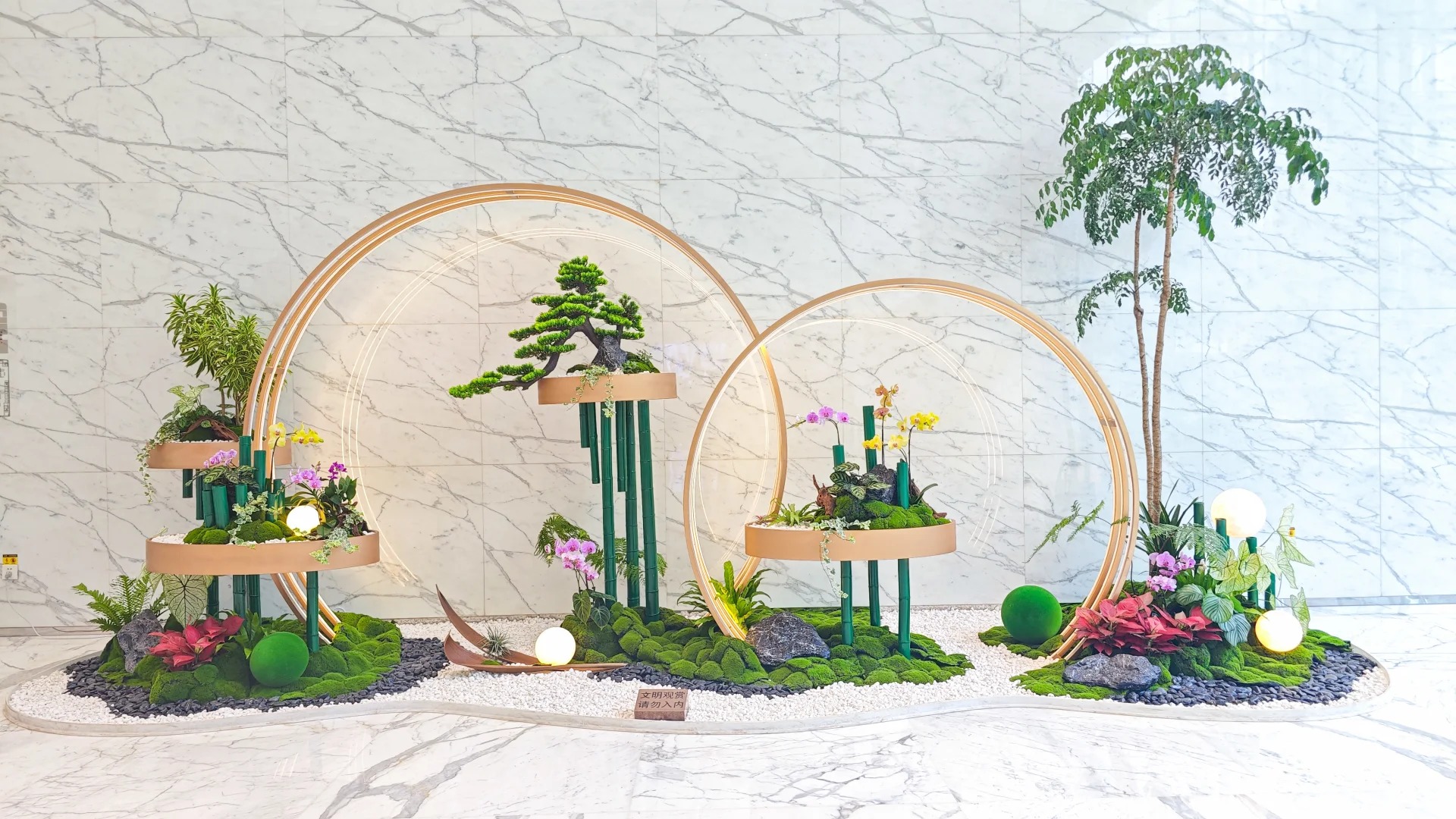 专业花卉租赁，为宁波杭州湾添一抹亮色